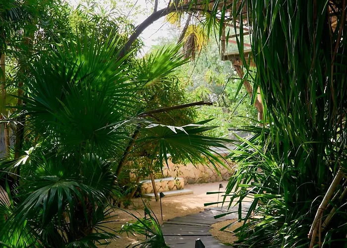 Amor Rooms Hotel