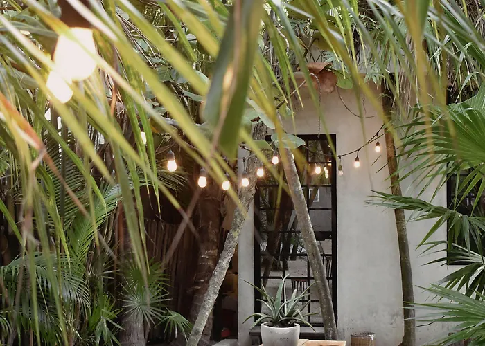 Hotel Amor Rooms